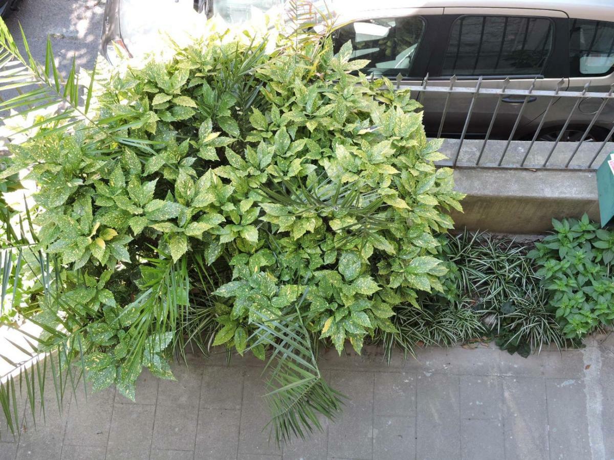 Nice/Nizza : Apartment Exterior foto